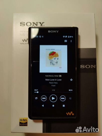 Sony walkman NW-wm1am2