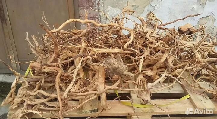 Коряги камни грунт новое поступление