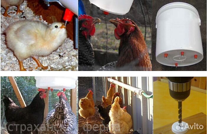 Нипельная поилка для птиц нп-2