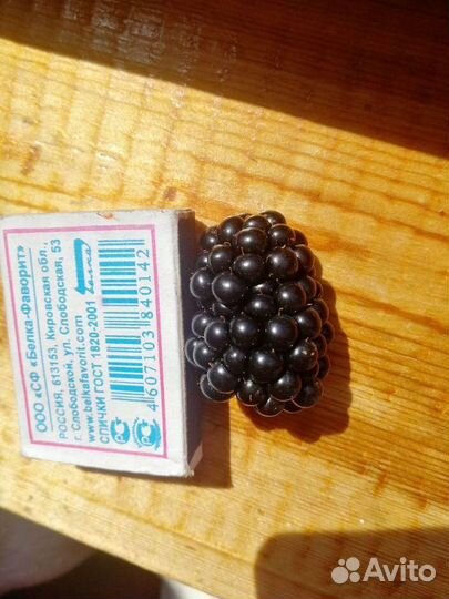 Саженцы ежевики и малины