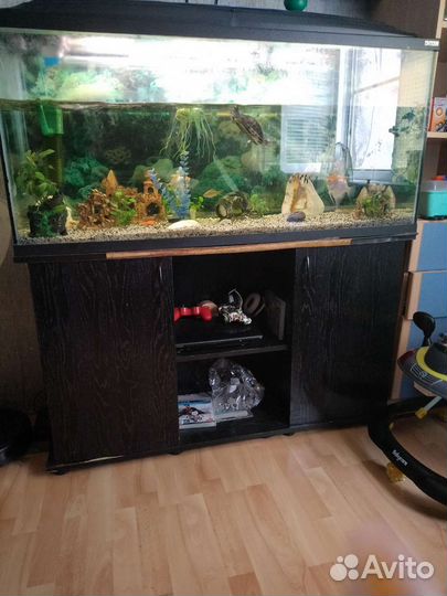 Аквариум