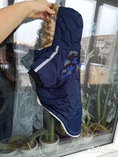 Одежда для собак