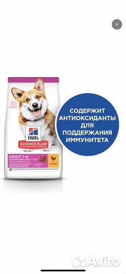 Сухой корм для собак