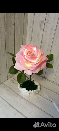 Роза или пион