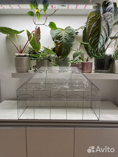 Теплица для растений