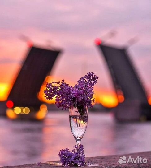 Тур в Санкт-Петербург на 4 дня из Уфы. Лето 2023