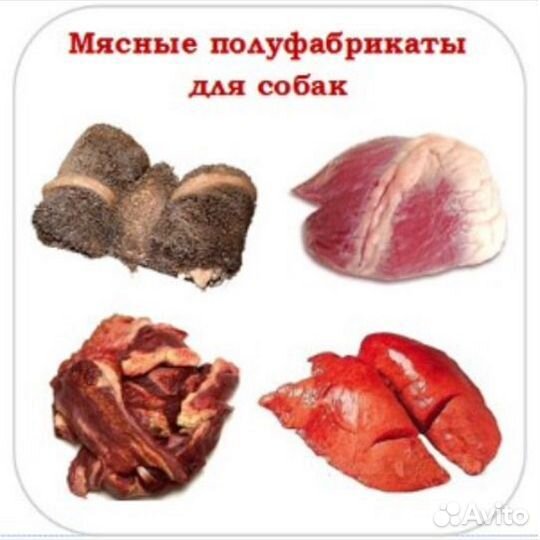 Корма для собак (печень, лёгкое, селезёнки)