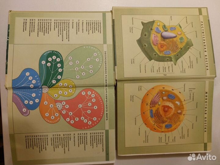 Сборник по биологии 10/11 класс,углублённый