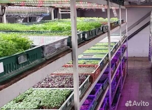 Готовый бизнес Ферма