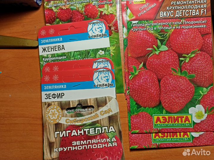 Семена земляники