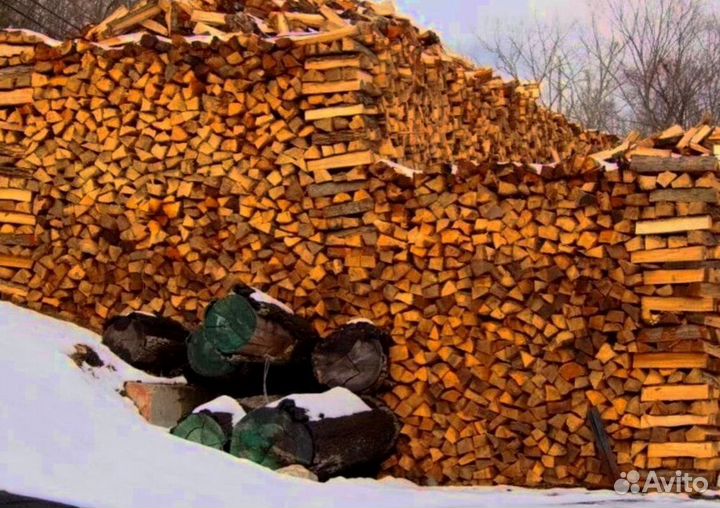 Дрова Береза