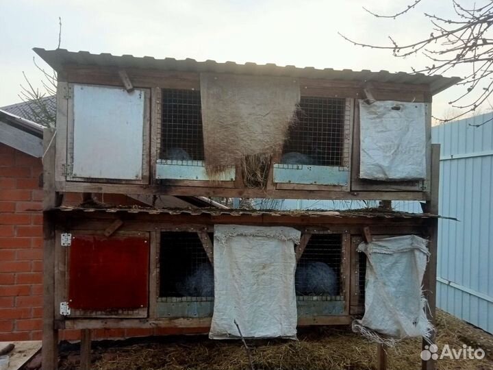 Клетки для кролика