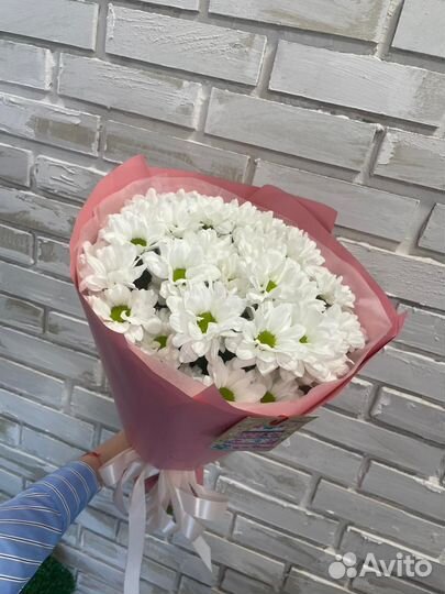 Цветы букет хризантем