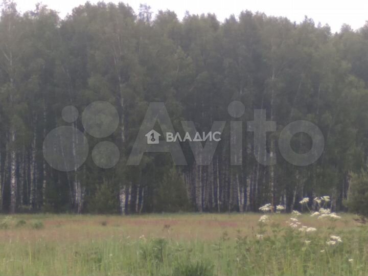 Участок 16,8 сот. (ИЖС)