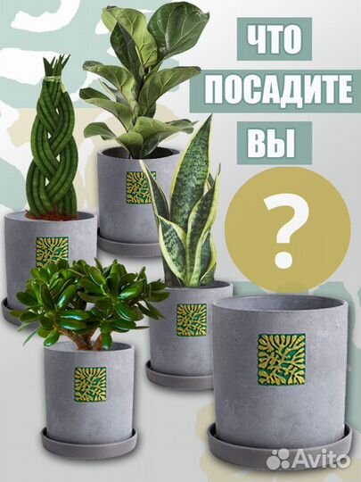 Горшок кашпо. Кашпо для растений. Бетонное кашпо