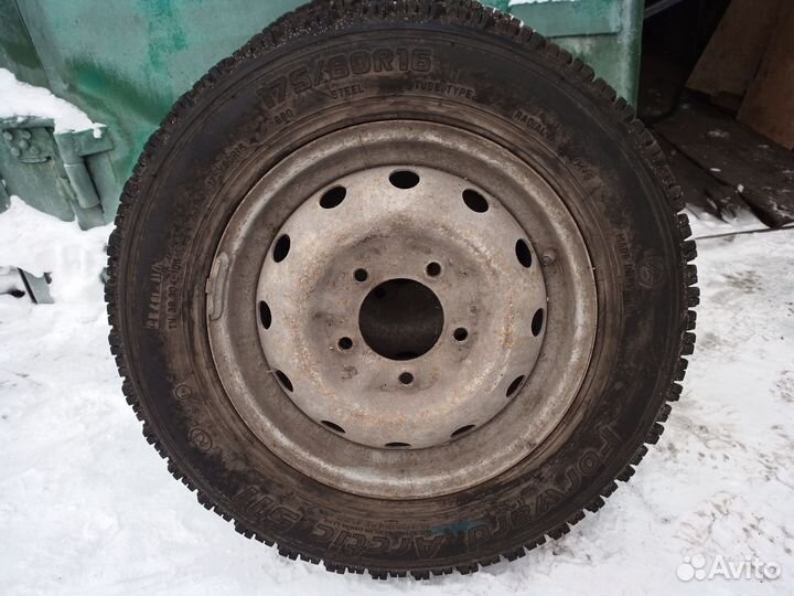 Forward Arctic 511 175/80 R16