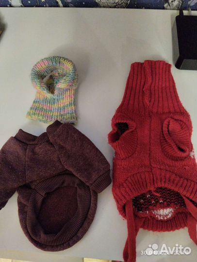 Одежда для маленьких собак