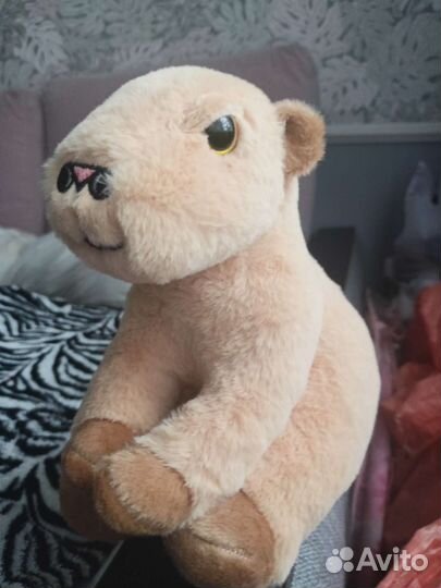 Сувенир капибара