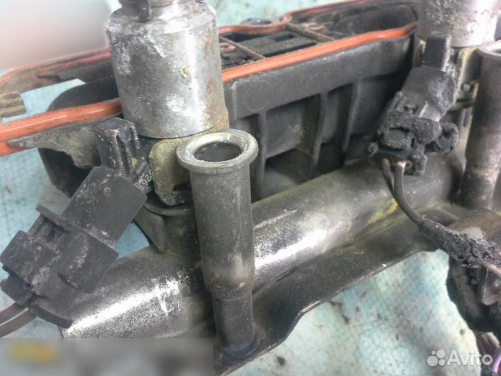 Рейка топливная (рампа) Audi Q3 2012