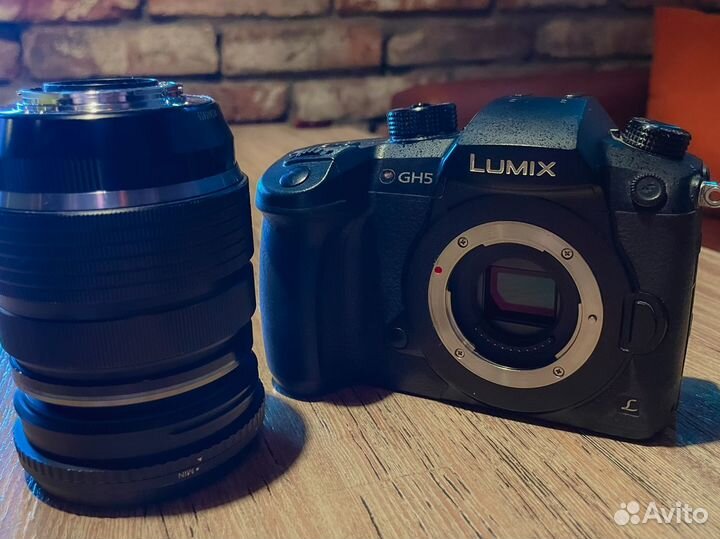 Panasonic Lumix GH5 + Olympus M. Zuiko Digital ED