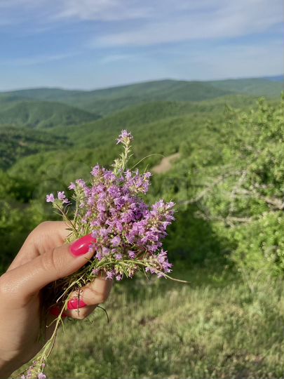 Участок 1,8 га (СНТ, ДНП)