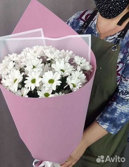 Хризантема