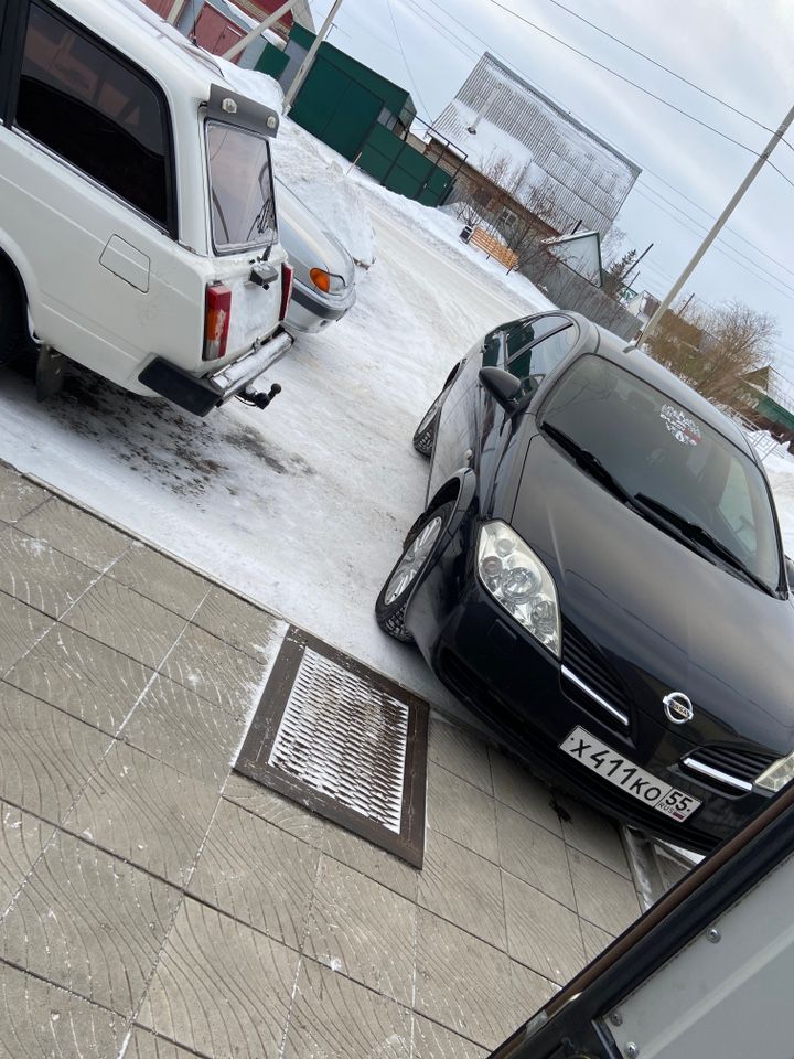 Nissan Primera: фото владельца