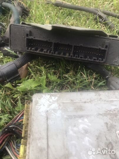 Эбу Митсубиши Шариот Грандис