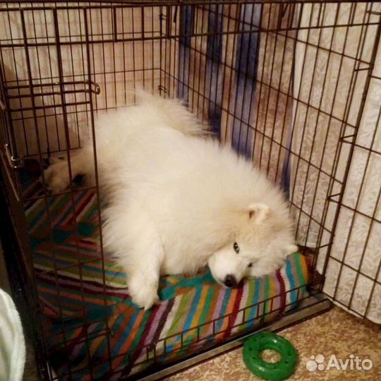 Клетка для большой собаки