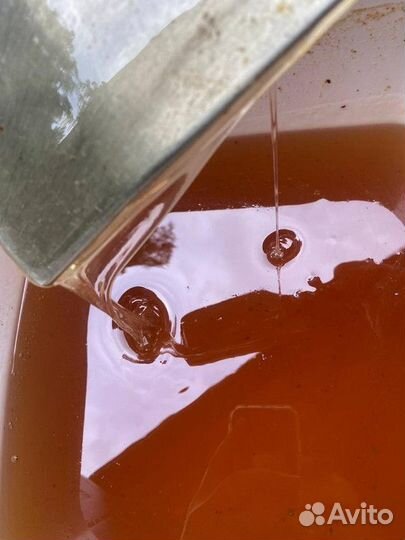 Мёд Лесной оптом