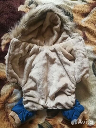 Комбинезон для собак бежево-синий с капюшоном