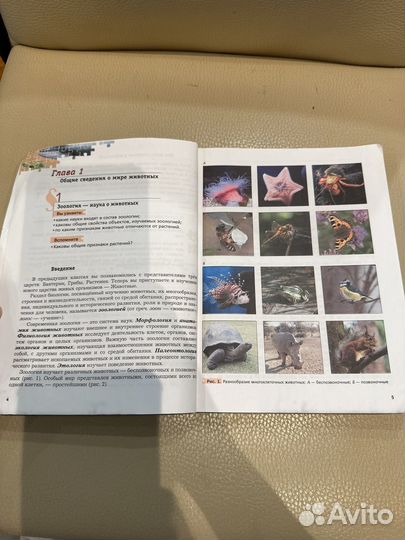 Учебник Биология 7 класс. Константинова