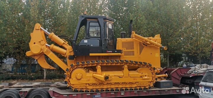Zauberg B8, 2023