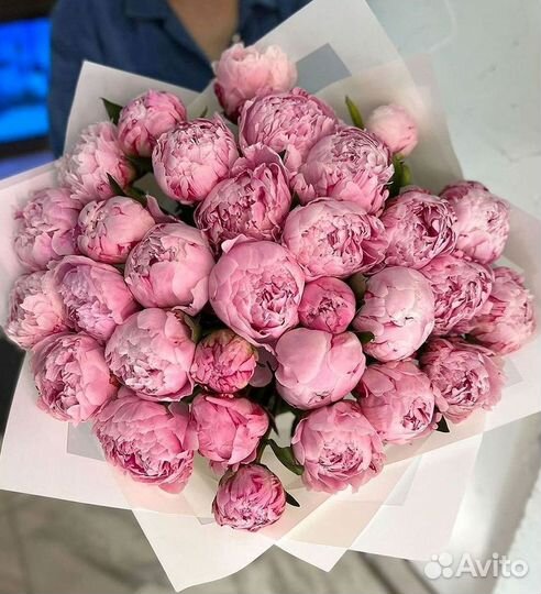 Пионы Букет пионов
