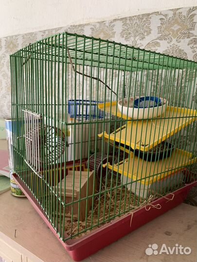 Клетка для хомяка 2