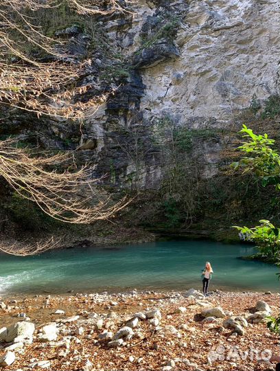 Большое кольцо Тисо-Самшитовой рощи + каньон