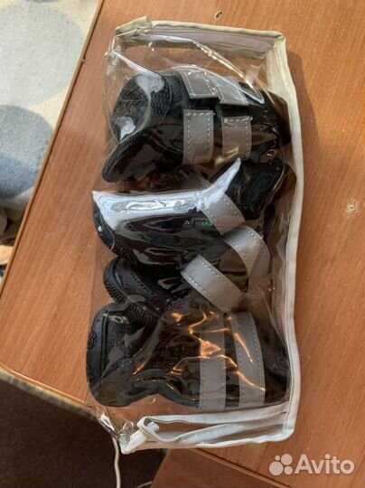 Обувь для собак