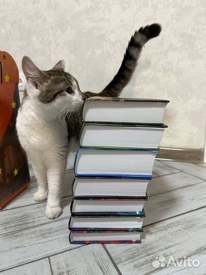 Гарри поттер росмэн все книги