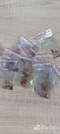 Семена глоксиний смесь семян