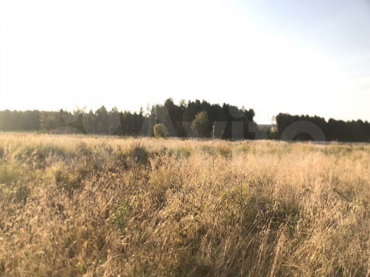 Участок 15 сот. (СНТ, ДНП)