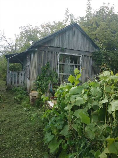 Участок 4,7 сот. (СНТ, ДНП)