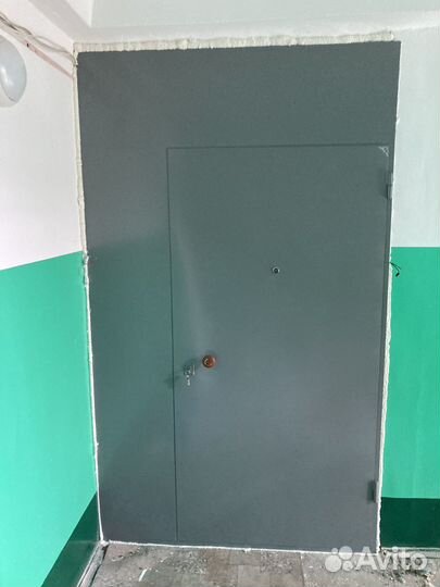 Тамбурная дверь