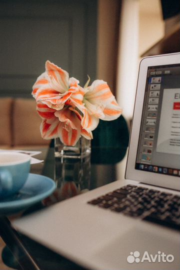 Английский для взрослых онлайн