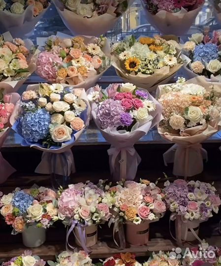 Плюшевый мишка