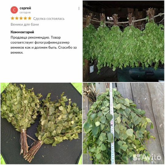 Березовые веники