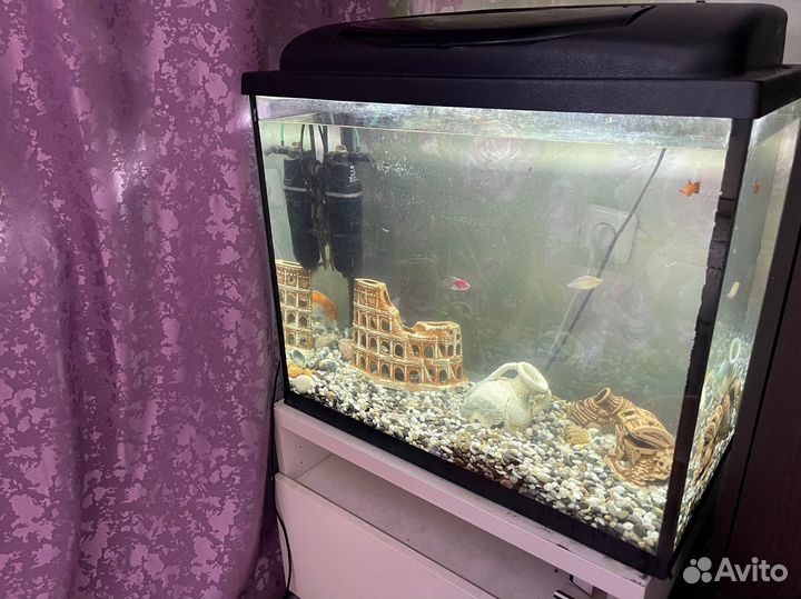 Аквариум с тумбой 150л