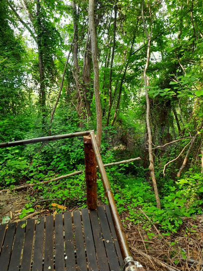 Комната 8 м², 1/1 эт.