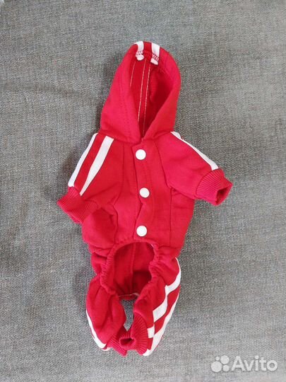 Комбинезон для маленькой собаки