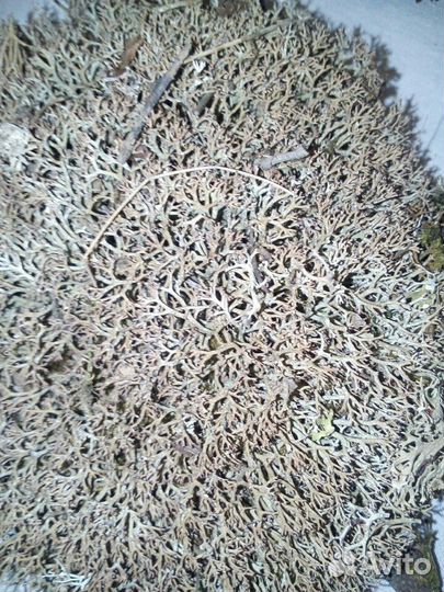 Природный материал