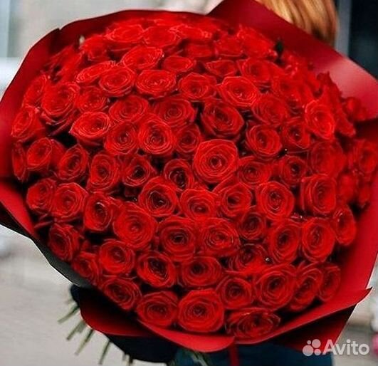 Высокие розы Гигантские розы с доставкой